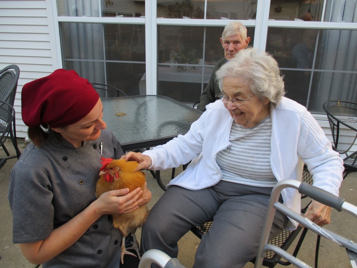 An elderly woman enjoys petting a chicken while sitting outdoors with a caregiver.