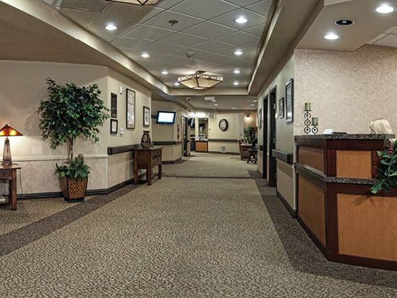 A well-lit office hallway with carpet flooring and decorative elements.