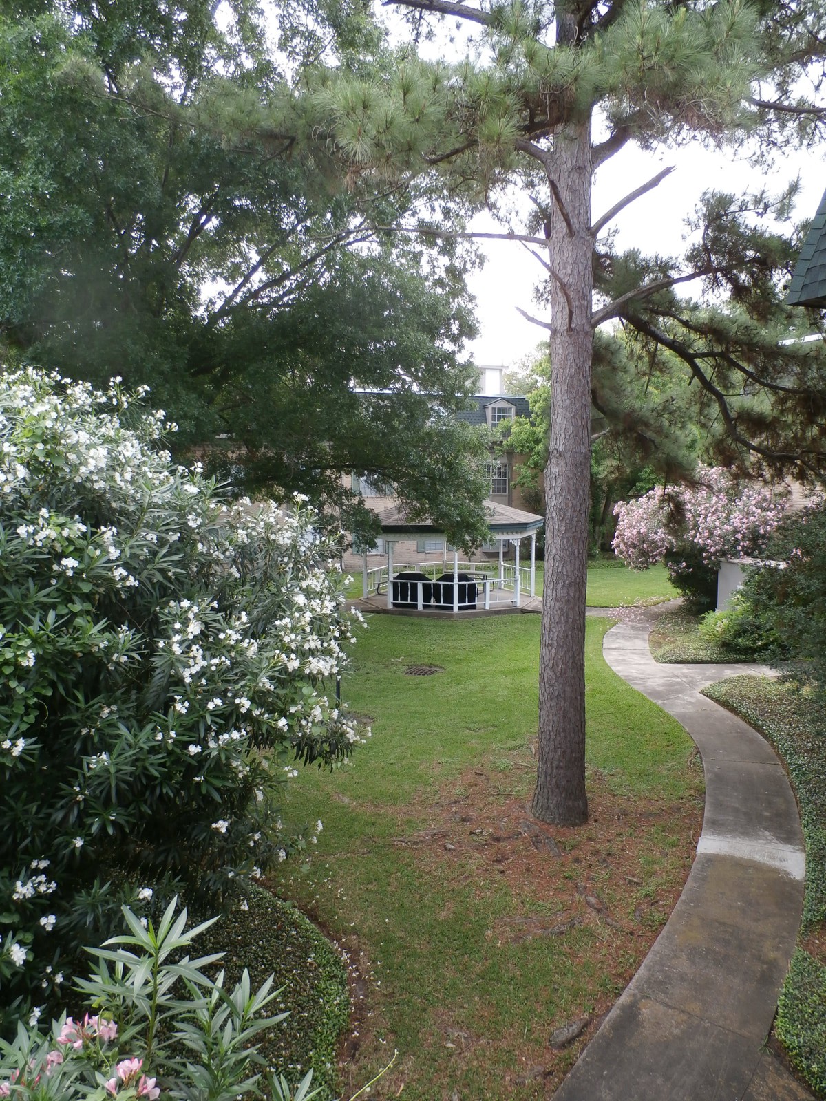 A serene garden view with a pathway leading to a house, surrounded by lush greenery.