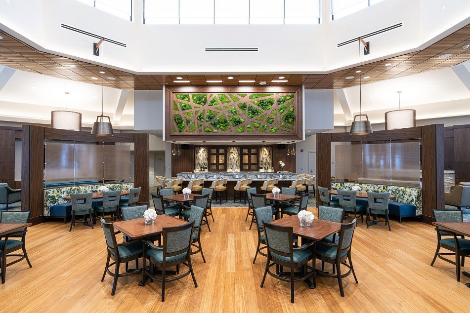 A modern dining area with wooden tables and blue chairs, featuring a large wall-mounted plant arrangement.