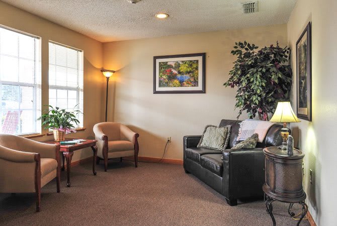A cozy living room with a sofa, chairs, and decorative plants.