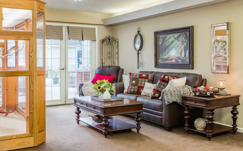 A cozy living room featuring a comfortable sofa adorned with pillows, a wooden coffee table, and tasteful artwork on the wall.