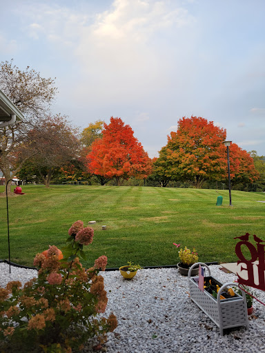 A serene autumn scene showcasing vibrant fall colors in the trees against a calm sky.