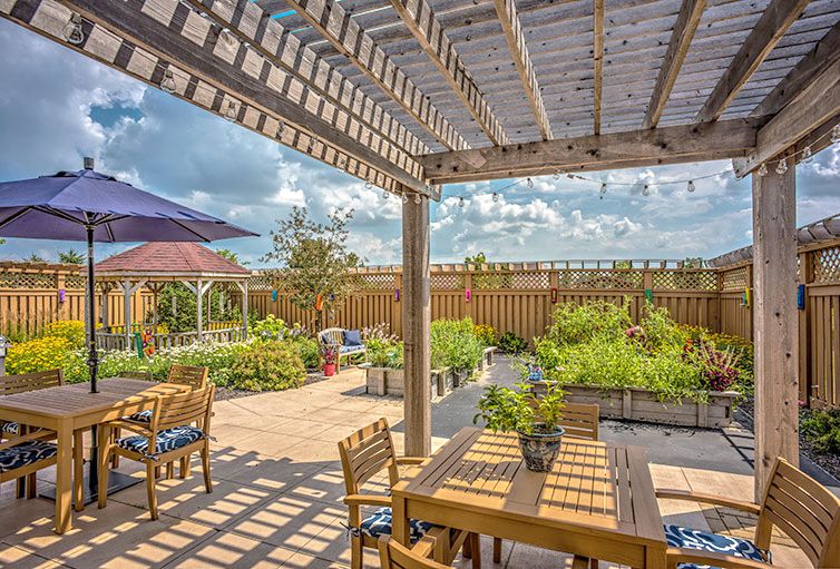 A sunny patio with a wooden pergola and garden seating area surrounded by lush plants.