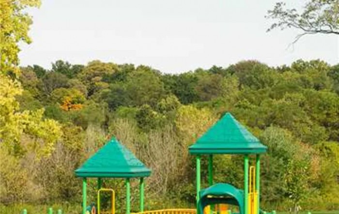 A colorful playground surrounded by lush greenery.