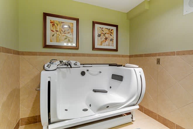 A modern bathroom featuring a walk-in bathtub and decorative wall art.