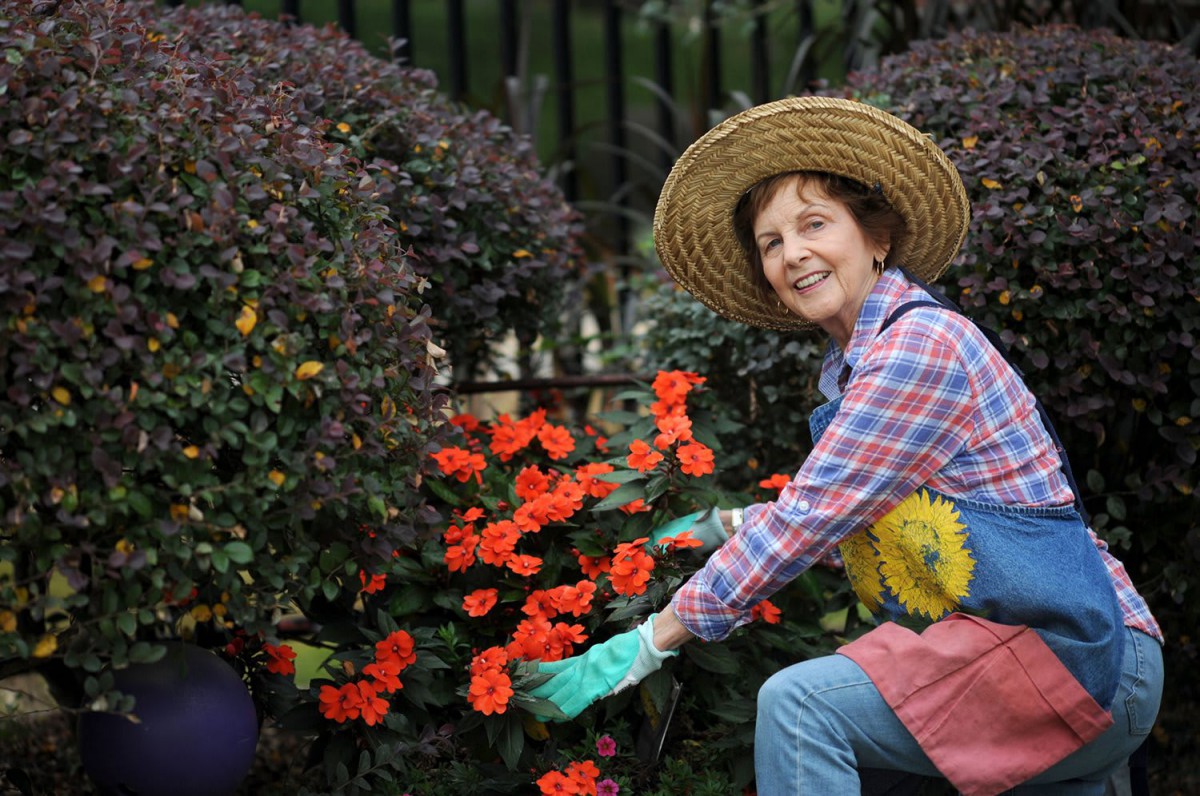 A woman wearing a straw hat and gloves tends to vibrant flowers in a garden.