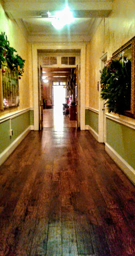 A beautifully designed hallway featuring wood flooring and green walls, adorned with decorative plants.