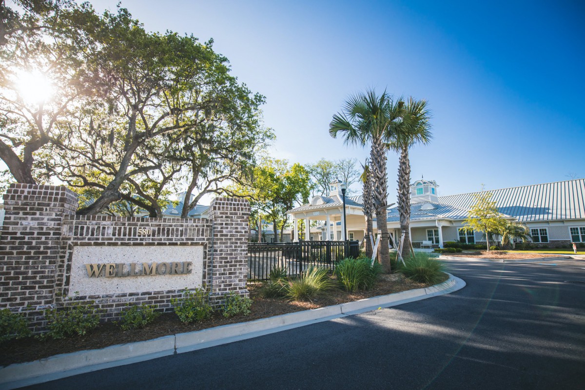 A scenic entrance with palm trees leading to a modern building.