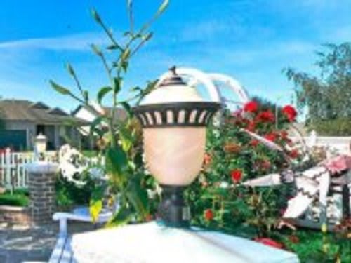 Assurety Senior Care