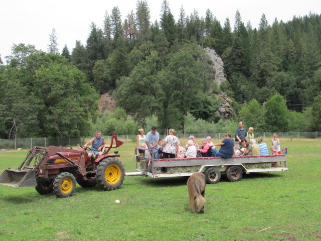 A tractor pulling a trailer full of people in a scenic outdoor setting with trees and greenery.