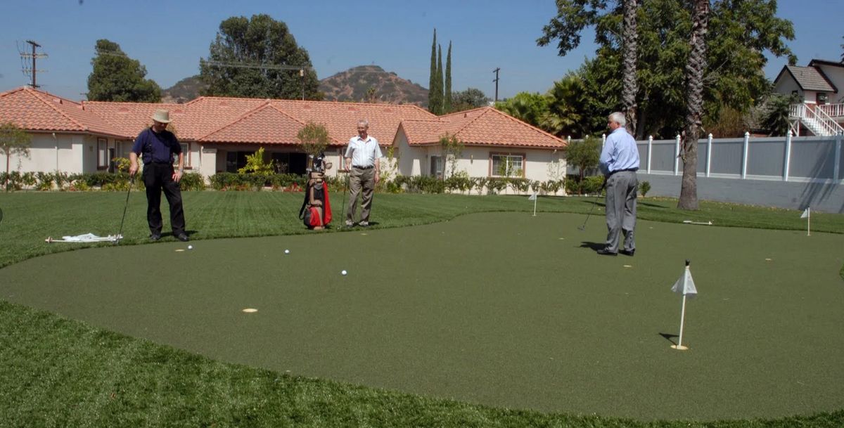 Two people playing golf on a putting green on a sunny day.