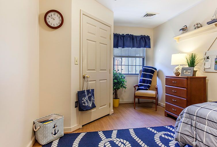 Cozy room interior with a nautical-themed decor, featuring a blue rug, small clock, and a potted plant.