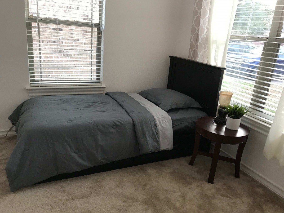 A minimalist bedroom with a single bed, nightstand, and plant by the window.
