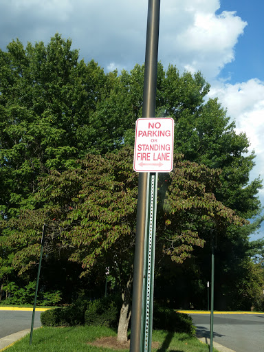 A 'No Parking' sign stands beside a line of trees in an outdoor area.