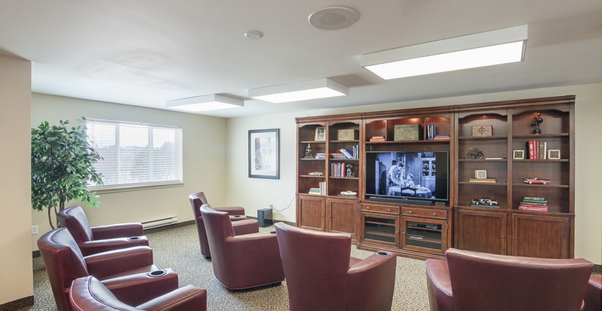 Comfortable living room with armchairs facing a television and bookshelves.