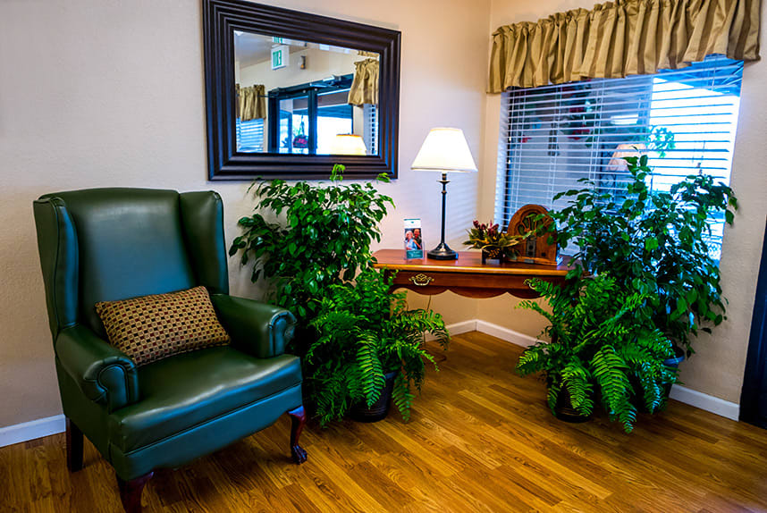 A cozy living room corner with a green armchair, surrounded by lush plants and illuminated by a table lamp.