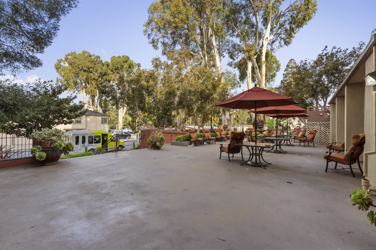 Outdoor patio area with tables, chairs, and umbrellas surrounded by trees.