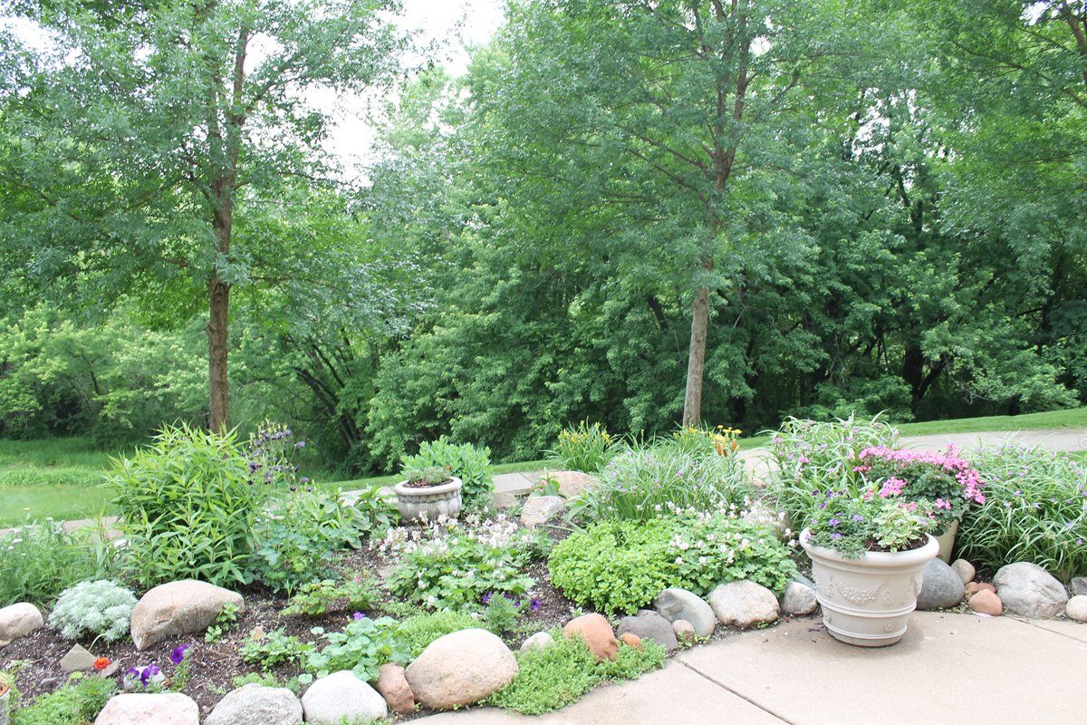 A lush garden with a variety of plants and trees, surrounded by natural greenery.