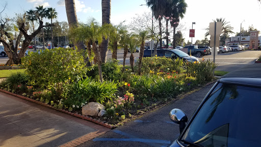 A vibrant garden filled with plants and flowers, situated next to a parking lot.