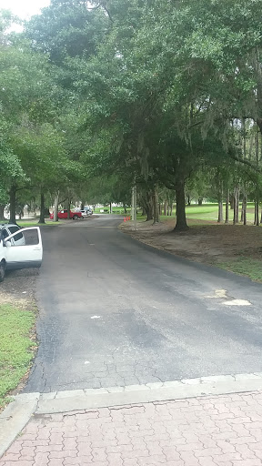 A peaceful road lined with trees in a park setting.