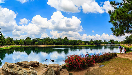 A serene lakeside view with vibrant foliage and fluffy clouds reflecting on the water.