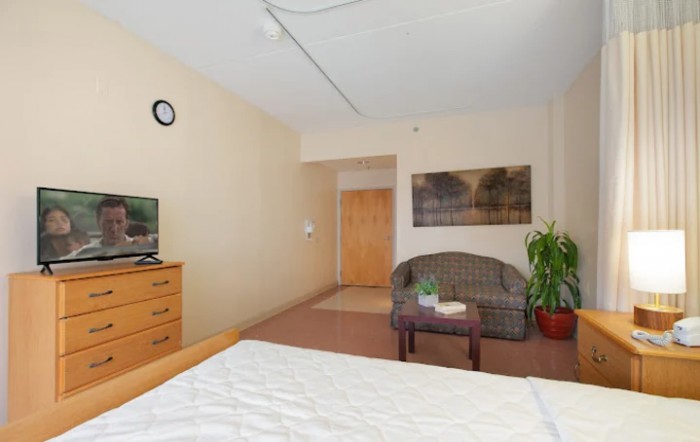 A cozy bedroom with a sofa, television, and decor elements such as a painting and a plant.
