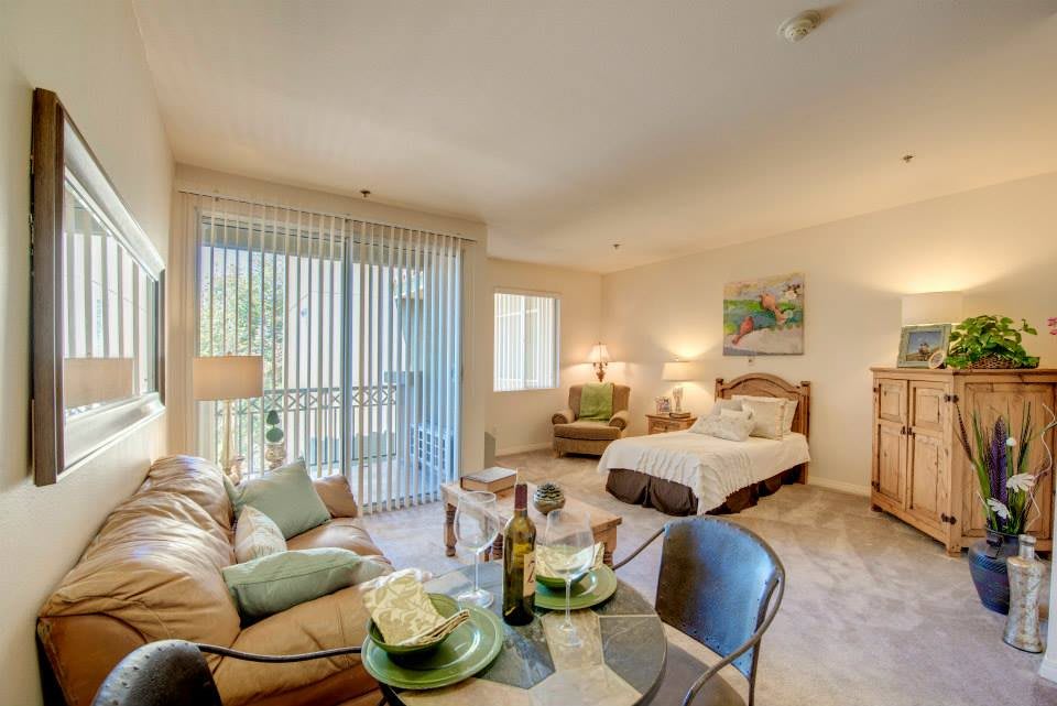 A cozy and modern apartment interior featuring a combined living and sleeping area with stylish furniture.