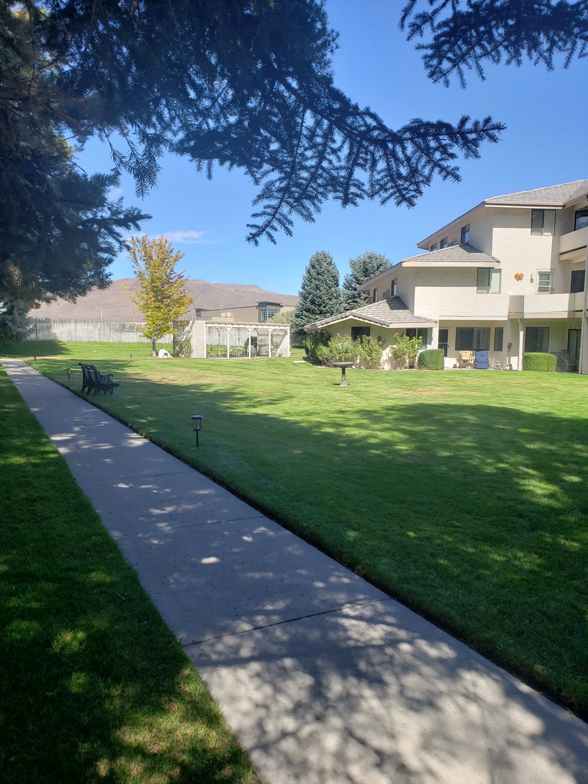 A sunny day view of a grassy area with a pathway and residential buildings.