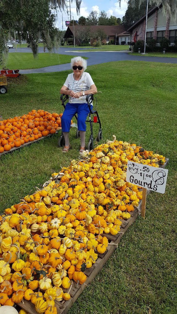 An elderly person near a produce stand with pumpkins and gourds for sale at an outdoor market.