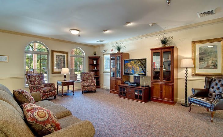A cozy living room with wooden furniture, a television, and decorative elements.