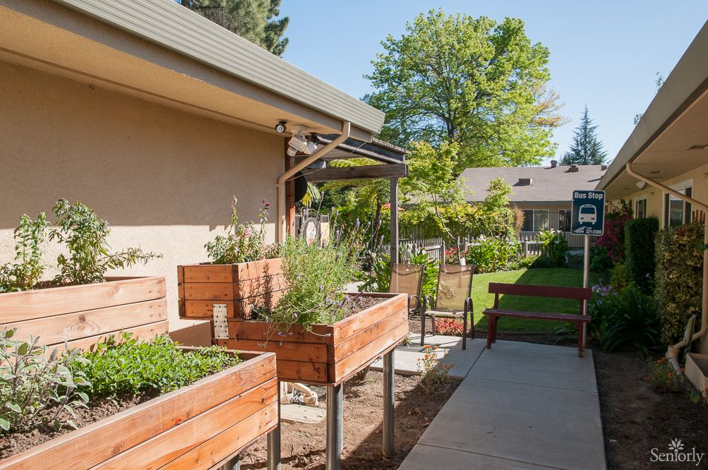 A garden with raised beds filled with plants on a sunny day.