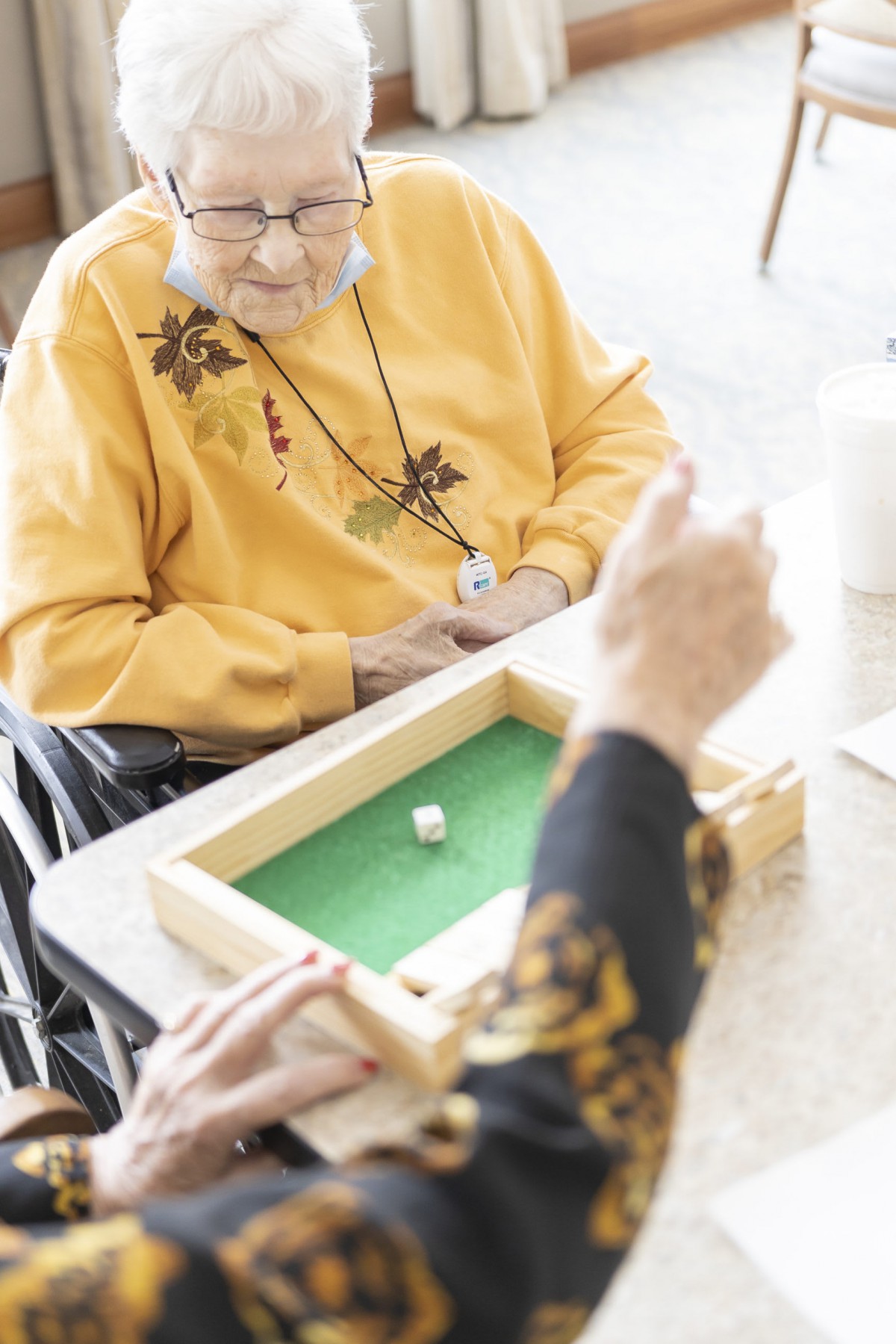 Seniors playing a dice game at a table.