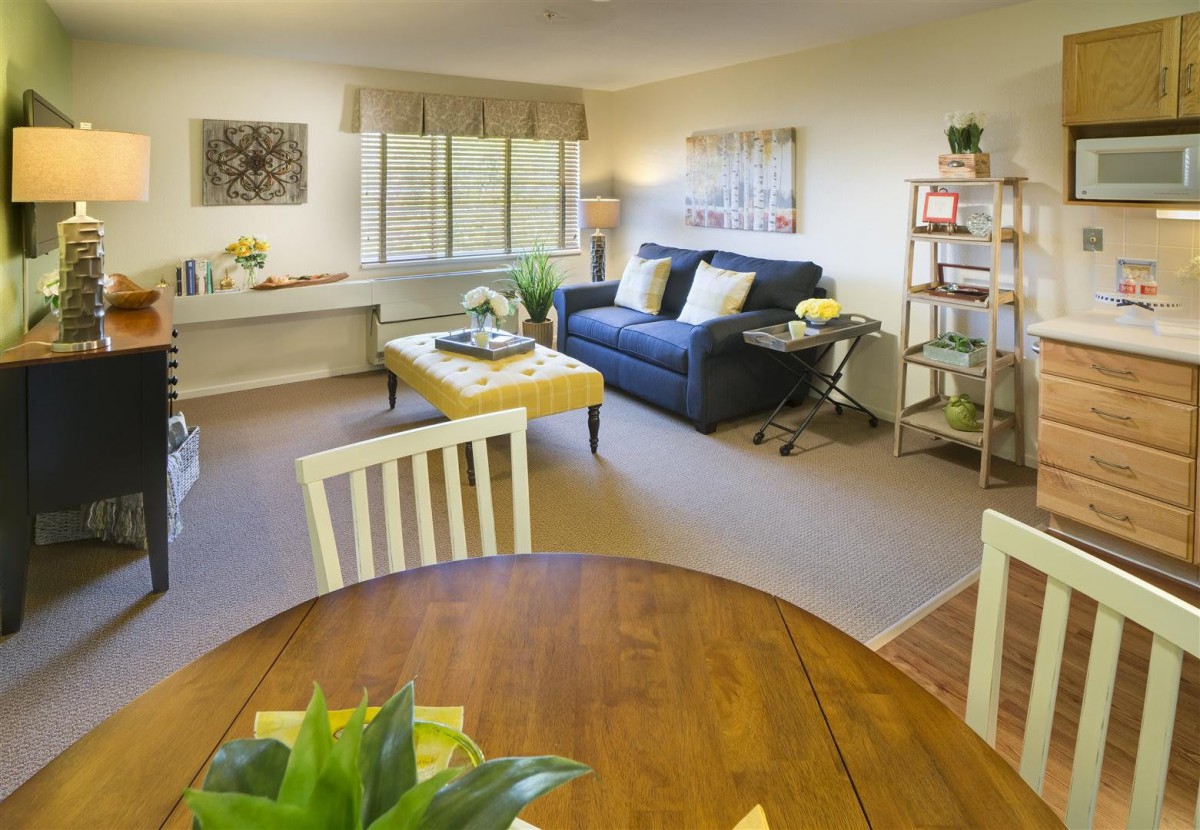 A cozy living room featuring a sofa, coffee table, dining area, and bookshelf with plants adding a touch of greenery.