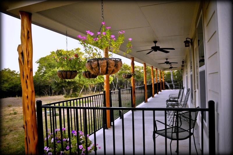 A serene porch with hanging plants and outdoor seating overlooking nature.