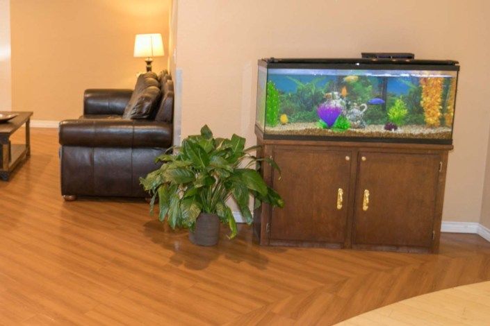 A cozy living room with a fish tank, lush green plant, and comfortable sofa.
