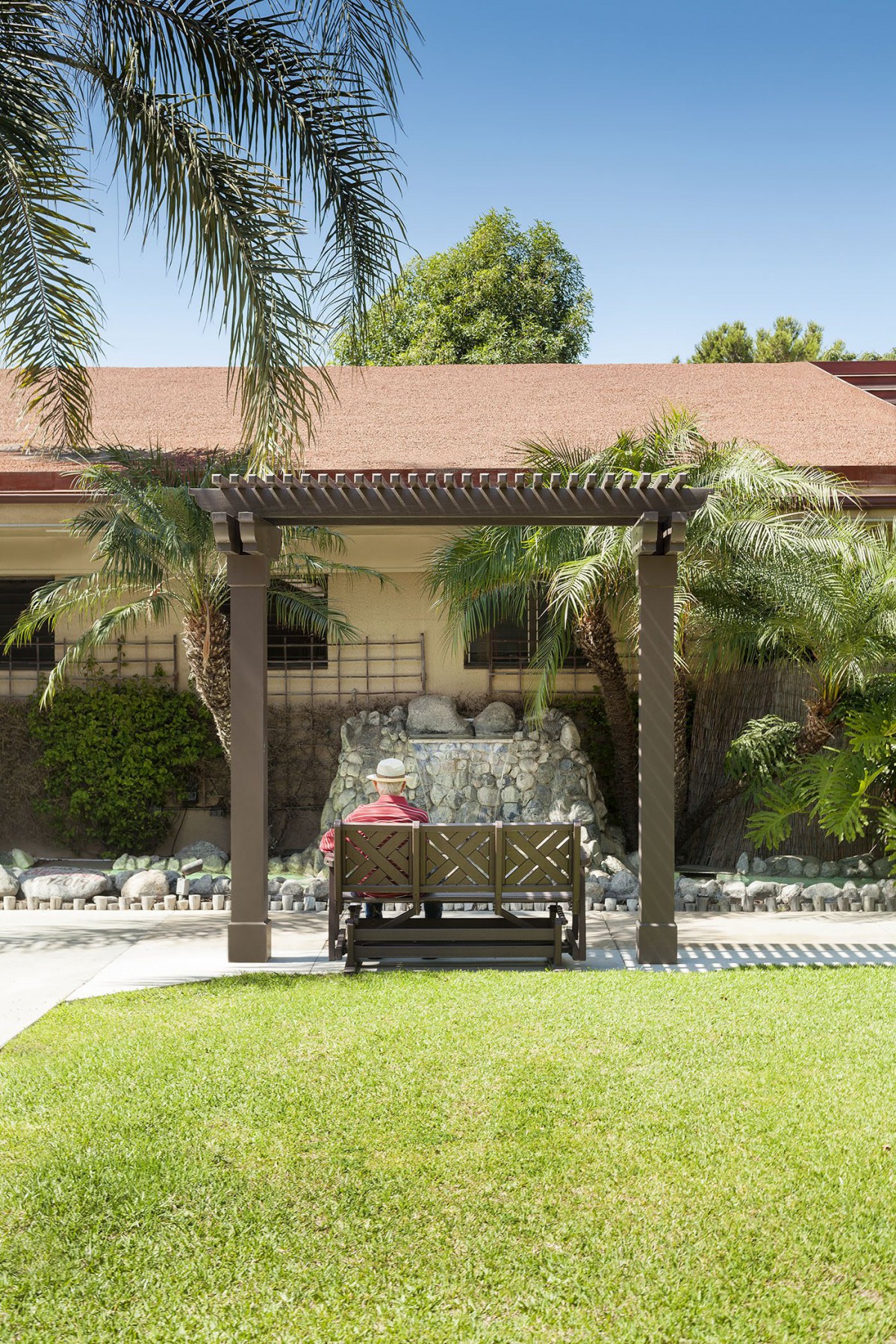 A serene garden scene featuring a bench under a pergola surrounded by lush greenery and a paved pathway.