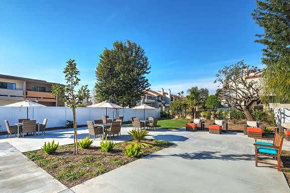 A sunny outdoor patio area with furniture, surrounded by trees and landscaped gardens.