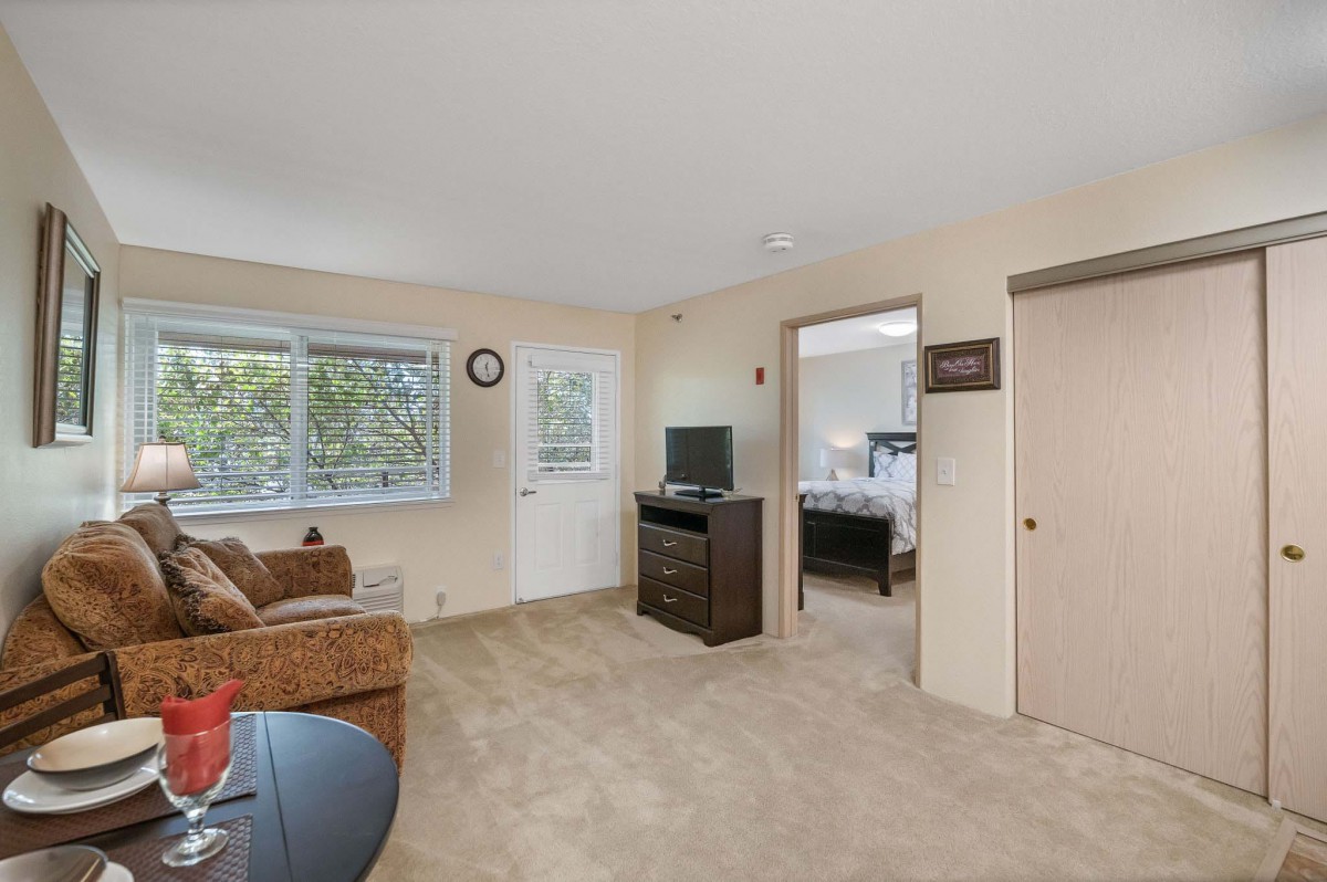 A cozy living room in an apartment with a sofa, television, and large window.