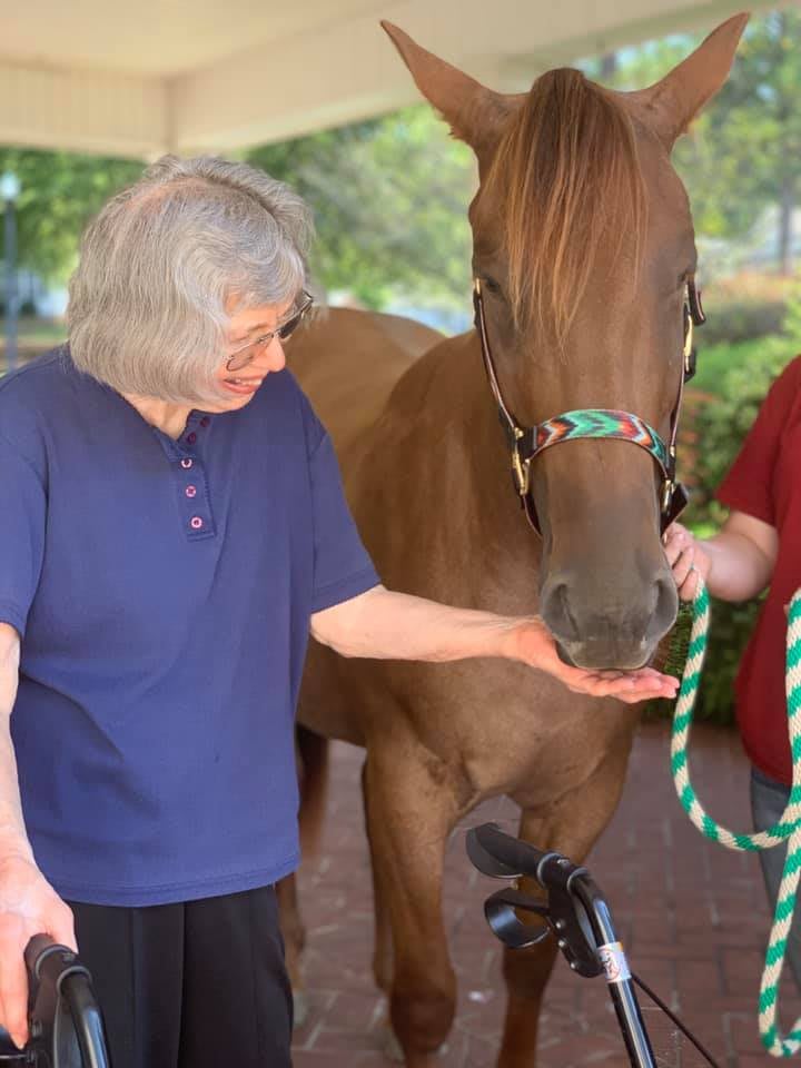 A person gently petting a horse while standing outdoors.