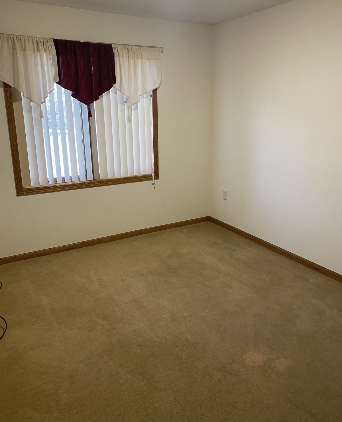 An empty room with beige carpet, a window featuring blinds and curtains.