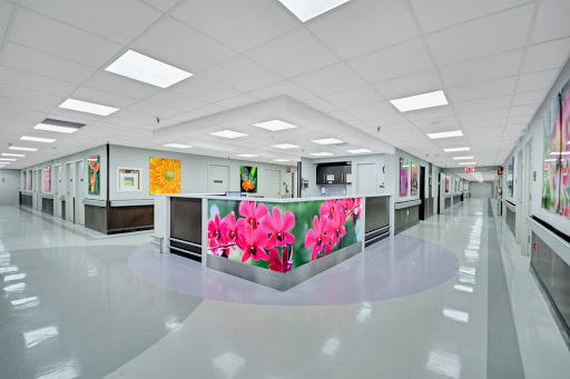 A modern hospital reception area featuring vibrant floral artwork and a clean, spacious layout.