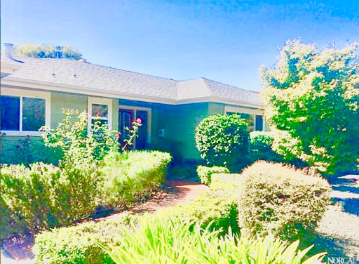 A charming house surrounded by lush greenery and a clear blue sky.