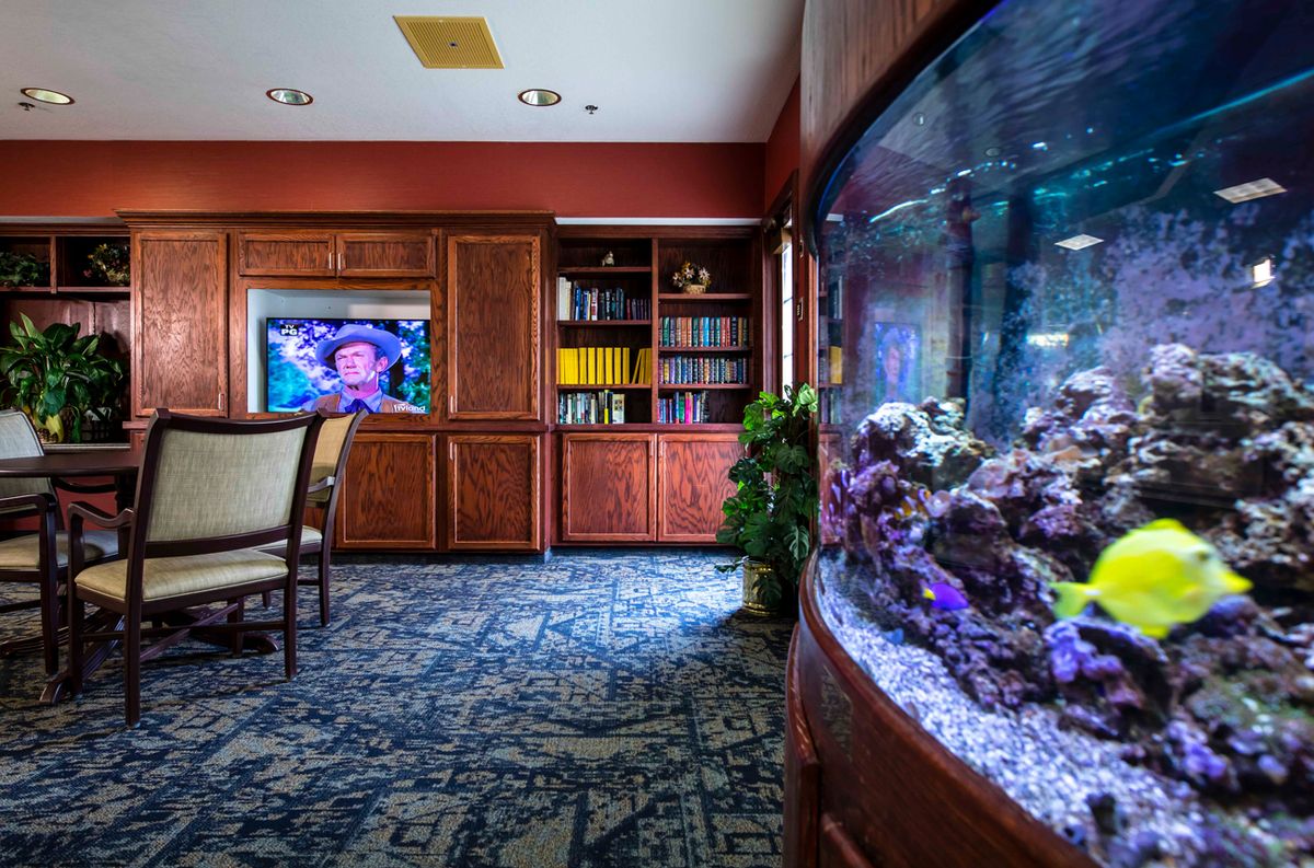 A cozy living room features an impressive aquarium, a television, and a bookshelf lined with books.