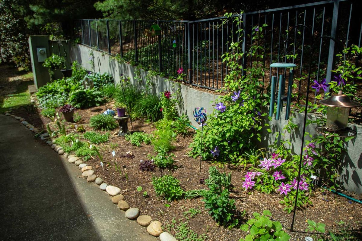 A vibrant garden with flowers and plants alongside a fence on a sunny day.