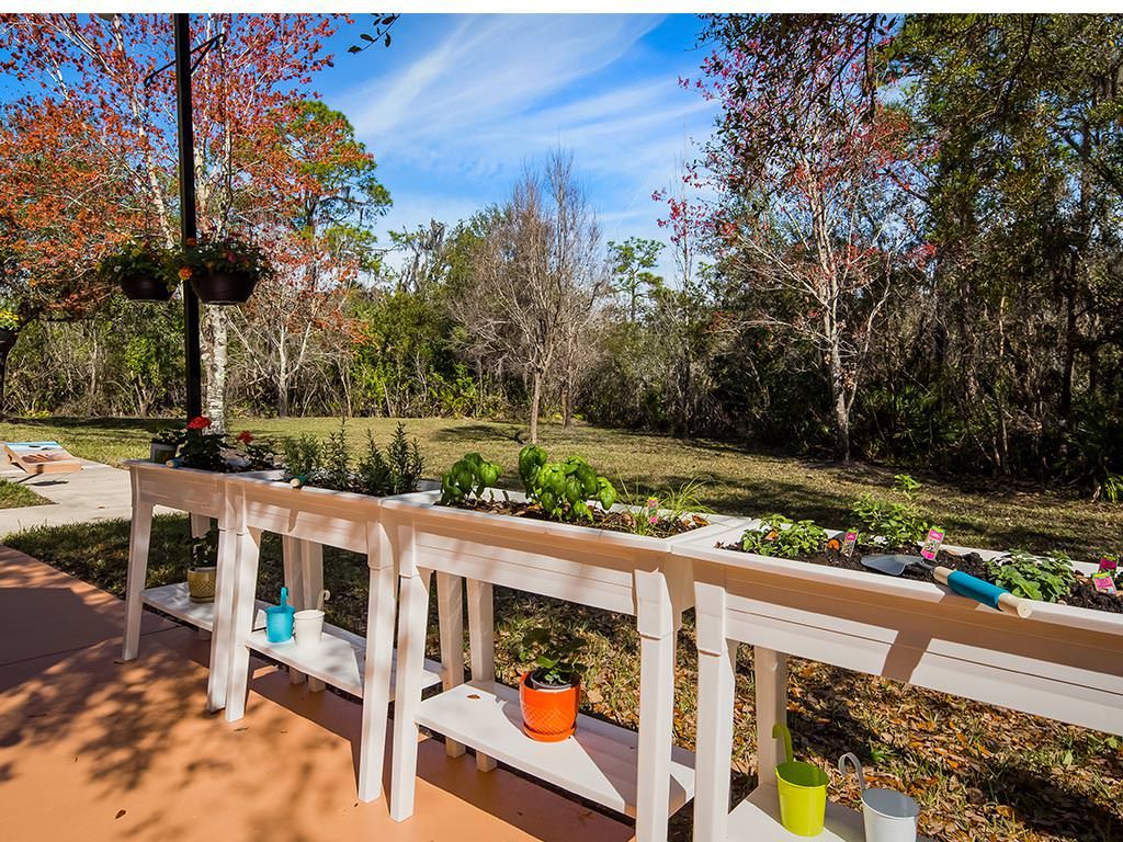A serene garden view with a variety of plants on a patio.
