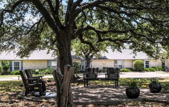 A shaded seating area beneath a large tree in a residential garden.