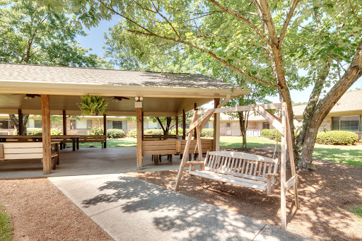 A serene outdoor space featuring a swing and shaded by trees, perfect for relaxation.