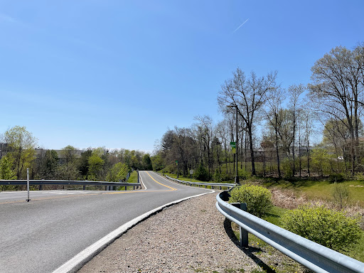 A scenic view of a curved road surrounded by trees under a clear blue sky.