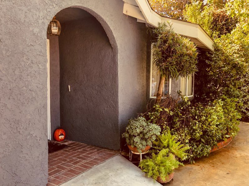 A cozy front entrance with an arched doorway, surrounded by lush plants and a small pumpkin decorating the brick pathway.